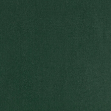PRZEŚCIERADŁO Z GUMKĄ JERSEY D91 140 X 200 X 30 CM BUTELKOWY ZIELONY