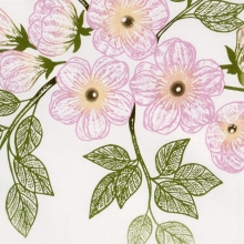 KOMPLET POŚCIELI SATYNOWEJ NIKA 44 160 X 200 CM BIAŁY KOMPLET POŚCIELI SATYNOWEJ NIKA 44 160 X 200 CM BIAŁY