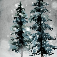 SW/POS/FOREST 160X200 70X80/X2 SW/POS/FOREST 160X200 70X80/X2