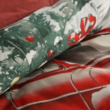 SW/POS/XMAS 160X200 70X80/X2 SW/POS/XMAS 160X200 70X80/X2