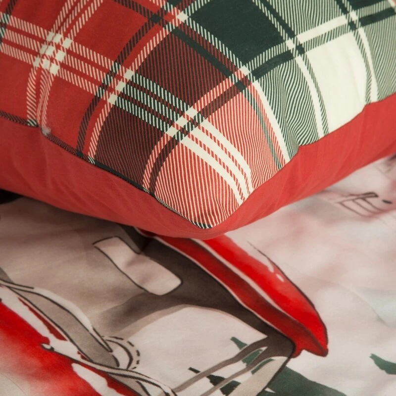 SW/POS/XMAS 220X200 70X80/X2